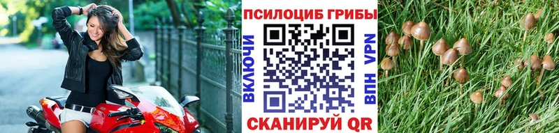 Псилоцибиновые грибы Psilocybe  купить закладку  Бронницы 